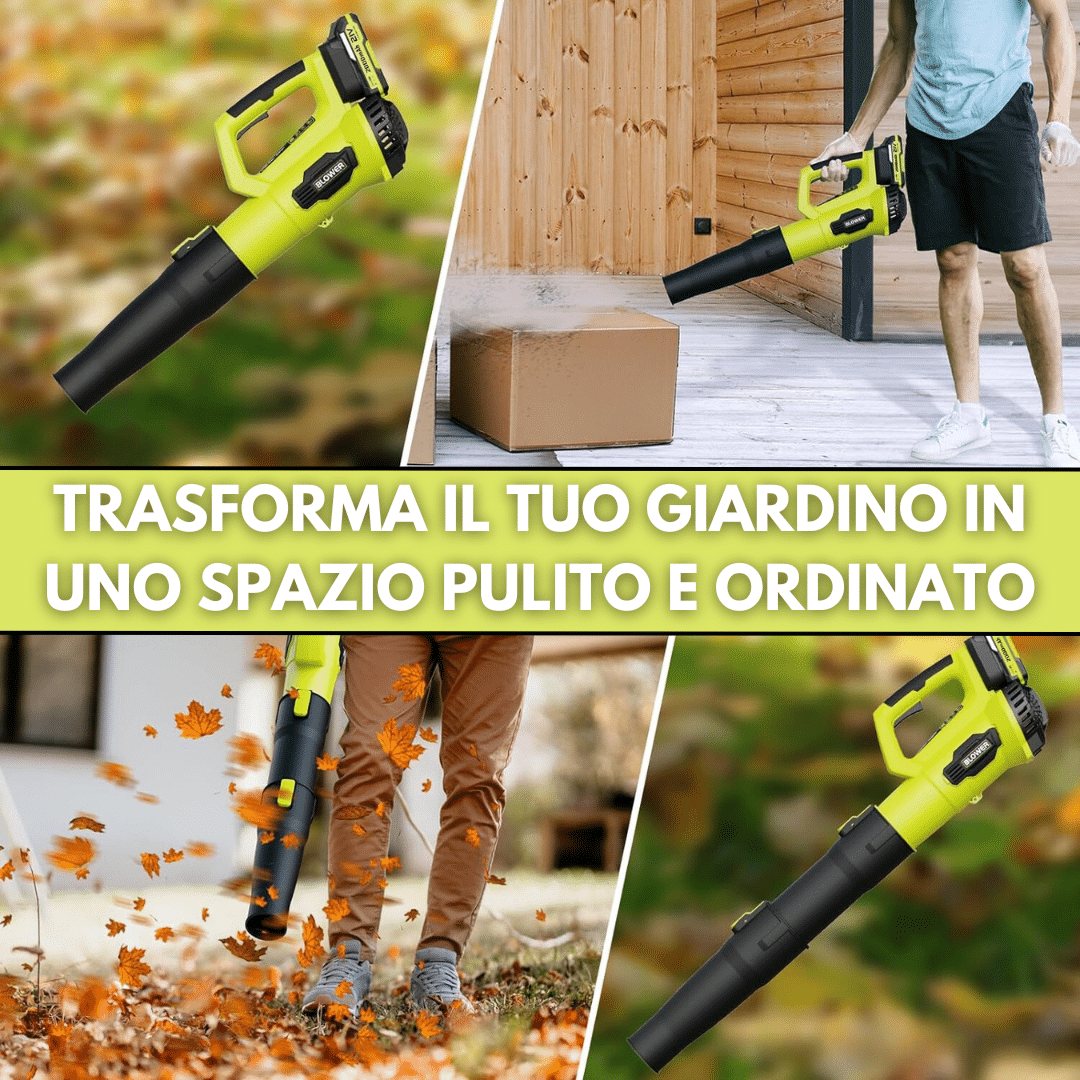 aspiratore giardino