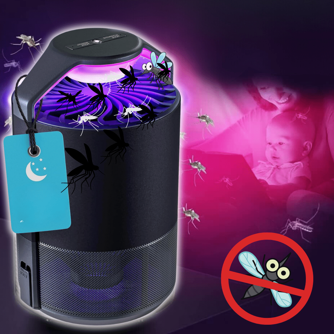 lampada zanzare insetti