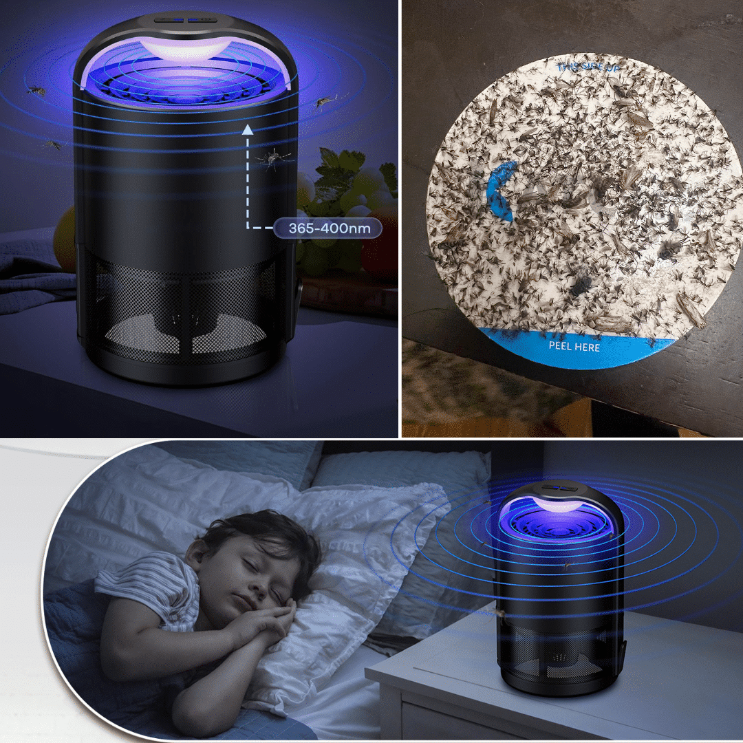 lampada zanzare insetti silenziosa